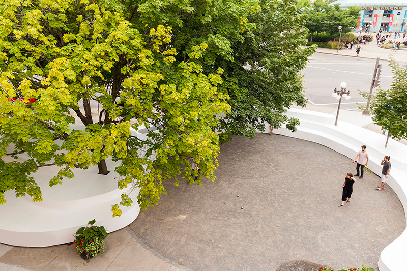 玻璃鋼超大型樹池