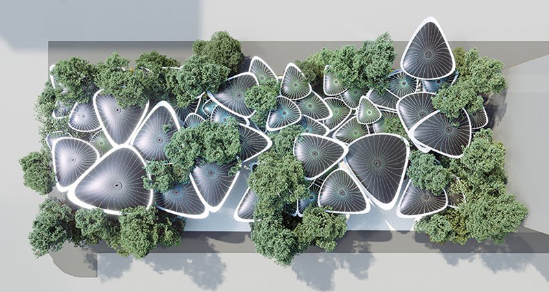 玻璃鋼水果雕塑，玻璃鋼生產(chǎn)廠家定制的那些水果雕塑!